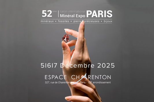 Salon Minéral Expo Paris