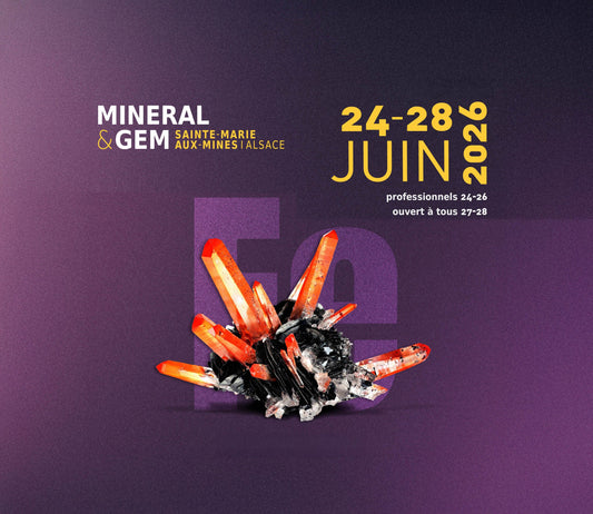 Salon Minéral & Gem en Alsace