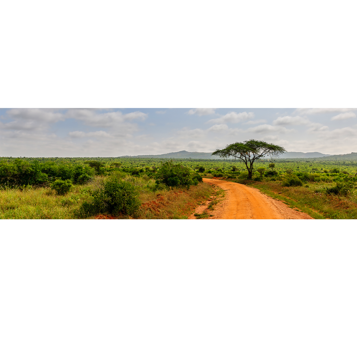 Route en terre dans le Serengeti